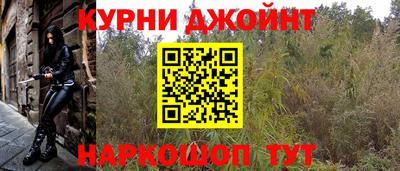 ECSTASY Новозыбков