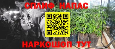 индика Новокубанск